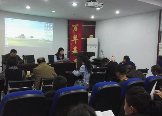 2017�����������ۻ�